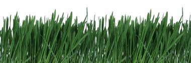 Green grass clipart