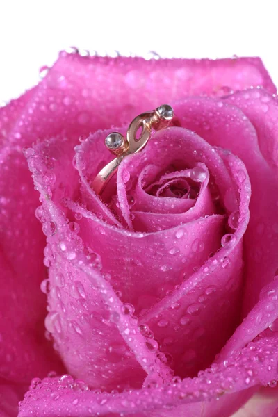 Close up of gold ring in pink rose — Stock Photo, Image