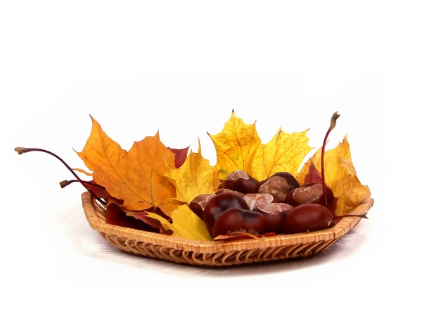 Herbstkorb — Stockfoto