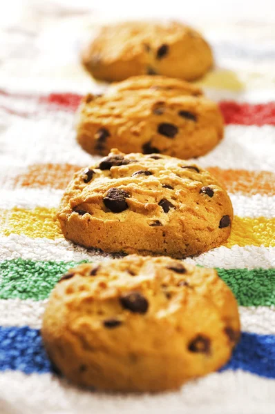 Chotocate cookies — Stockfoto