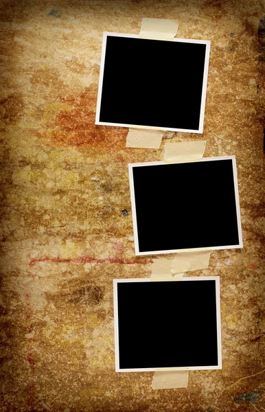 Three blank photos — Stock Photo, Image