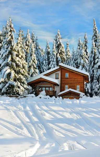 Zima piękna scena — Zdjęcie stockowe