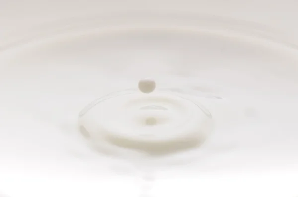 Milk drop — Stock Photo, Image