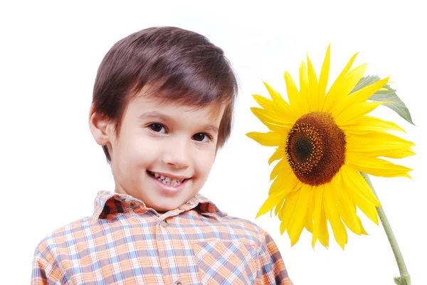 Very cute boy hugging sunflower as frie — Stock Photo, Image