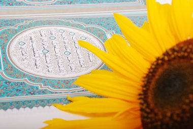 Rose flower put on holy Islam book Koran clipart