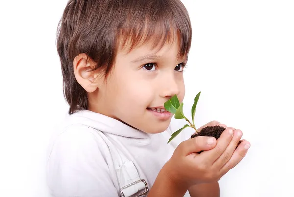 Παιδί κρατώντας και μυρίζοντας ένα φυτό — Φωτογραφία Αρχείου