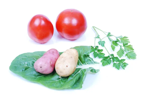 Kawałki warzyw na białym tle na ziemi — Zdjęcie stockowe