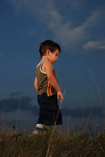 Pequeno garoto bonito andando no prado antes do pôr do sol — Fotografia de Stock
