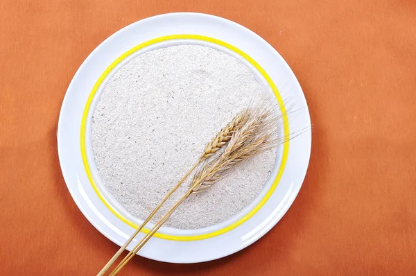 Пшеница в тарелке — стоковое фото