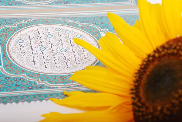 Розовый цветок положить на священную книгу Ислама Коран — стоковое фото