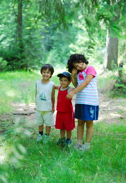 Niños en el bosque, escena muy verdosa — Foto de Stock