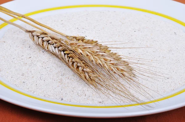 Pl の自然有機健康的な白いご飯 — ストック写真