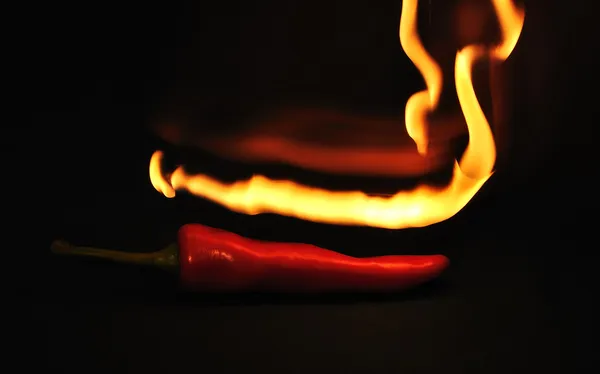 Kylig paprika, mycket mycket varmt — Stockfoto