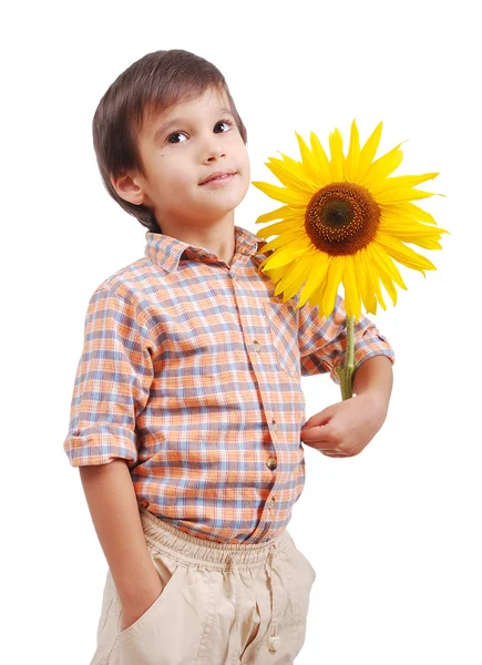 Very cute boy hugging sunflower as frien — Stock Photo, Image
