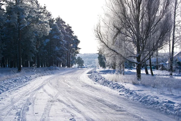 Cenário de inverno Fotos De Bancos De Imagens Sem Royalties