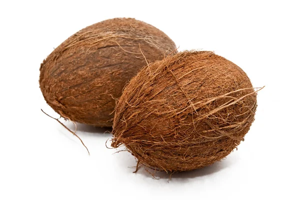 stock image Coconut