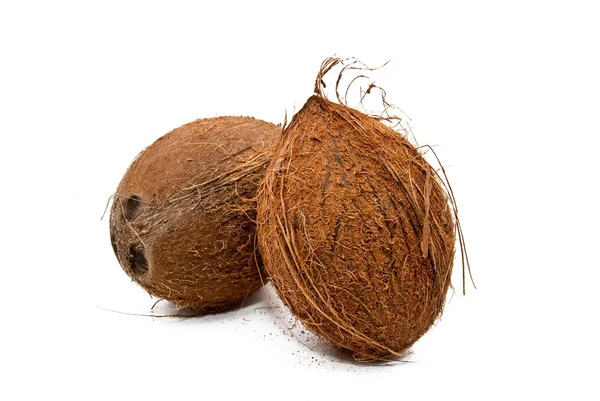 Tropical coconut — Stock Photo, Image