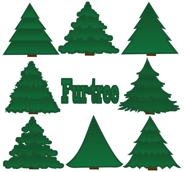 stock image Fur-trees