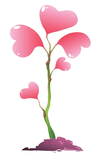 Planta rosa — Foto de Stock