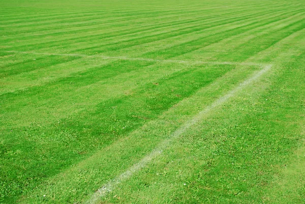 stock image Football pitch