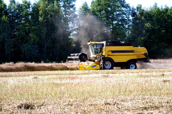 stock image Harvest