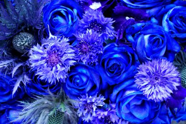 Blue flowers clipart