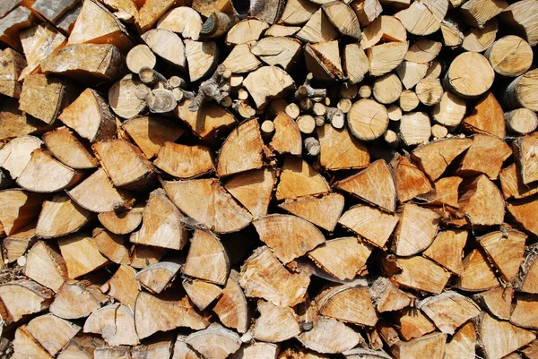 Brennholz schneiden — Stockfoto