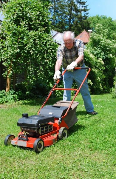 Man with lawn mower Stock Picture