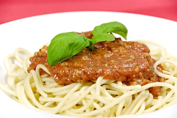 Espaguete Bolognaise — Fotografia de Stock
