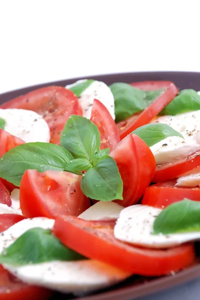 Capresse salad — Stock Photo, Image