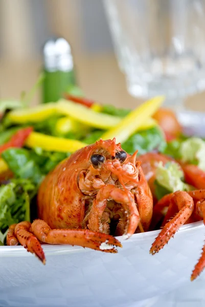 Lobster salad Royalty Free Stock Photos