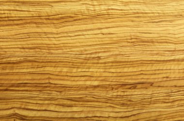Olive wood texture clipart