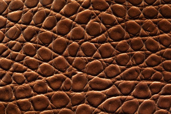 stock image Brown crocodile leather