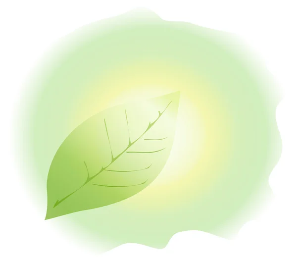Vector πράσινο φύλλο, floral φόντο — Διανυσματικό Αρχείο