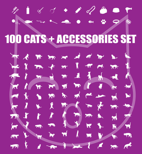 Great 100 cats and accessories