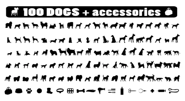 100 köpekler simgeler ve köpek aksesuarları — Stok Vektör