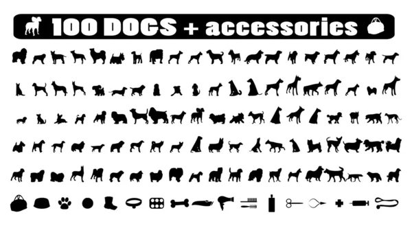 100 σκύλοι εικονίδια και Αξεσουάρ σκύλου — Διανυσματικό Αρχείο