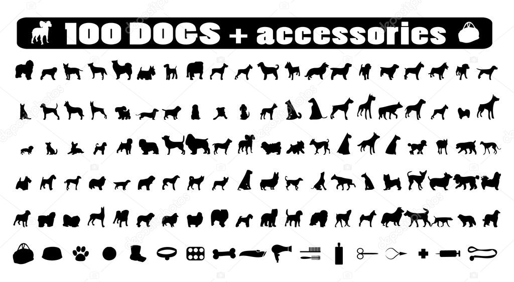 100 dogs icons and Dog accessories