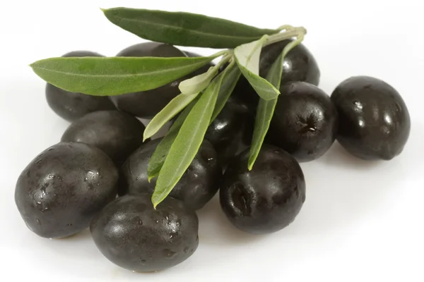 Schwarze Oliven mit Olivenzweig — Stockfoto
