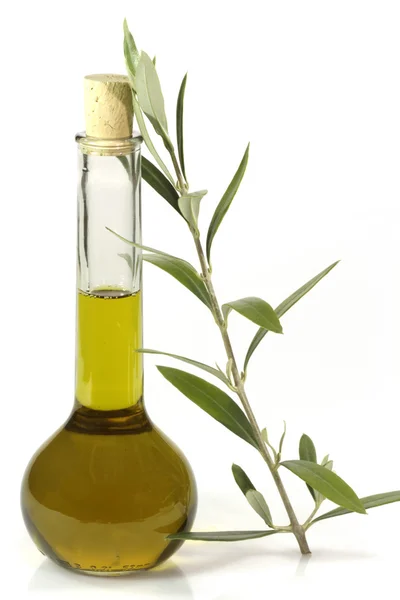 Aceite de oliva con rama de olivo Imagen De Stock