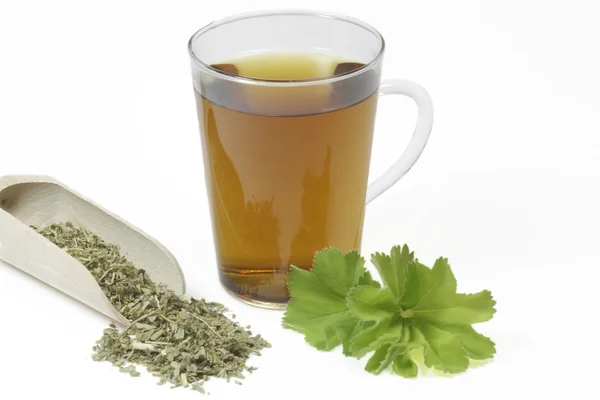 A köpeny őméltósága tea — Stock Fotó