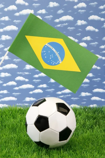 Brazilian soccer — Stock Photo, Image