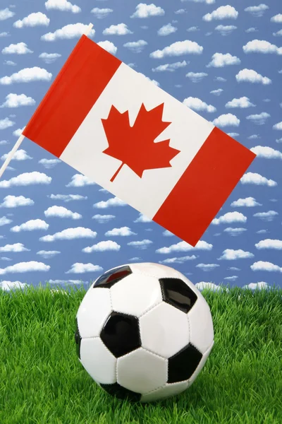 stock image Canadian soccer