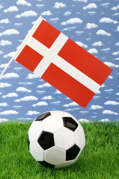 Duński-piłka nożna — Zdjęcie stockowe