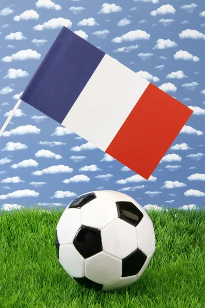 French soccer — Stock Photo, Image