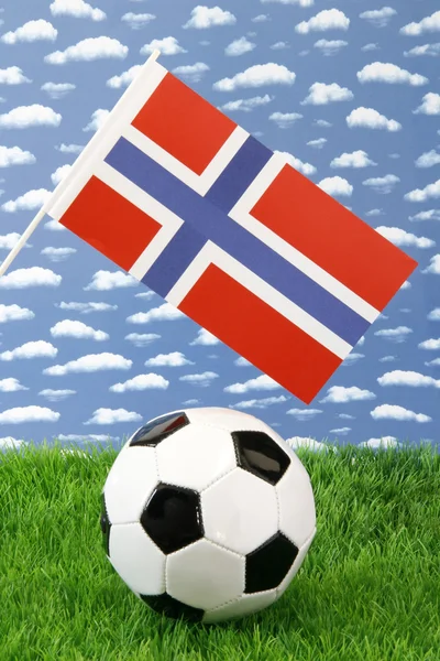 Νορβηγική ποδόσφαιρο — Φωτογραφία Αρχείου