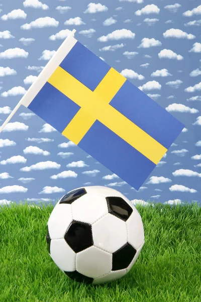 Futebol sueco — Fotografia de Stock