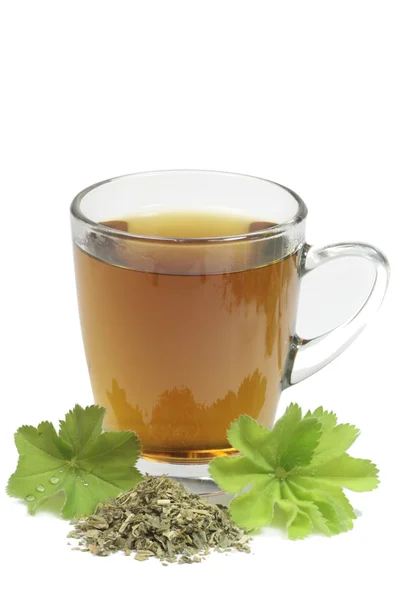 A köpeny őméltósága tea — Stock Fotó