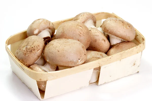 Basket of Mushrooms — Stock Photo, Image