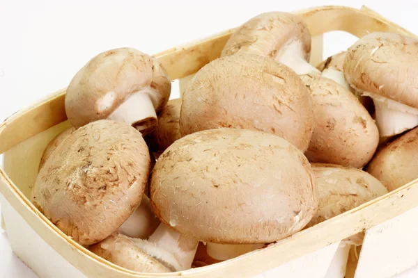 Funghi in un cesto — Foto Stock
